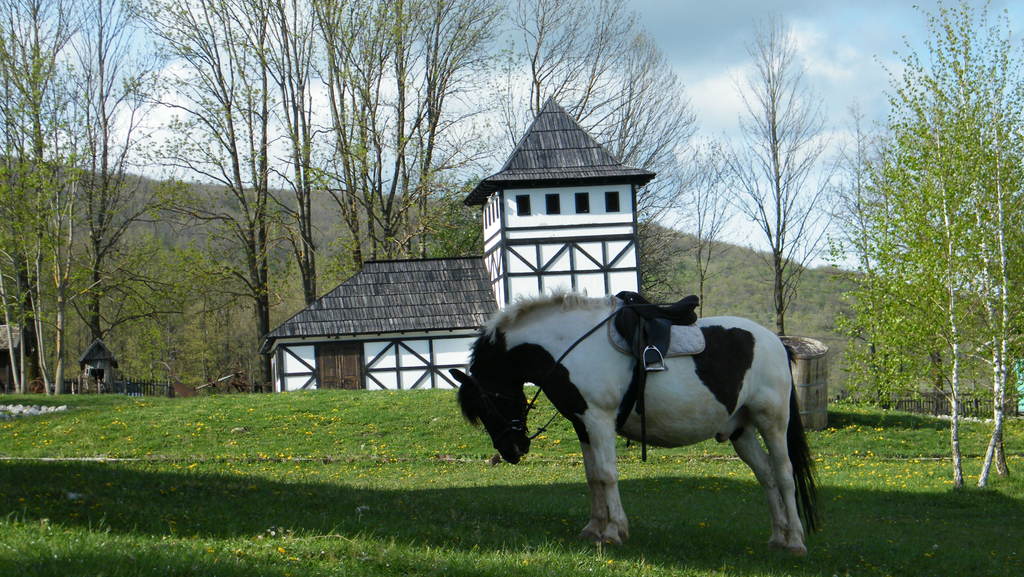 Explore the Sanica river, Kljuc, and authentic village Čardaklije.